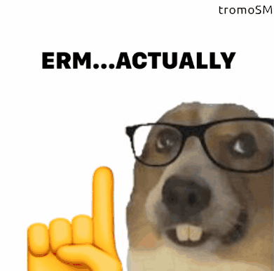 A Dog Wearing Glasses Is Pointing Up With The Words " Erm Actually " Above It GIF