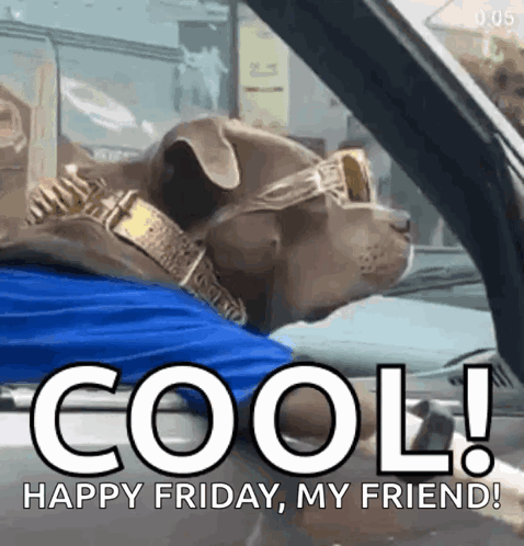 A Dog Wearing Sunglasses And A Collar Is Driving A Car With The Words Cool Happy Friday My Friend Written Below It GIF
