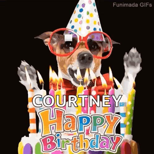 A Dog Wearing Sunglasses And A Party Hat Is Blowing Out Candles On A Cake . GIF