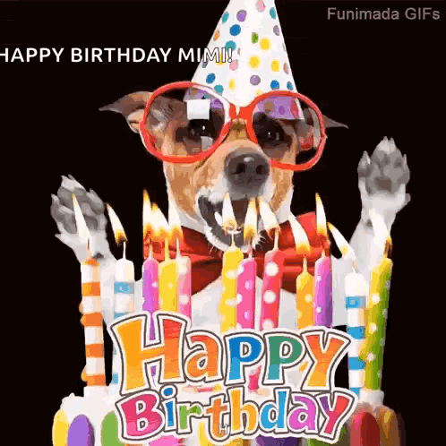 A Dog Wearing Sunglasses And A Party Hat Is Standing In Front Of A Birthday Cake With Candles . GIF