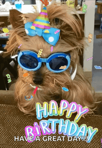 A Dog Wearing Sunglasses And A Party Hat Says " Happy Birthday Have A Great Day " GIF