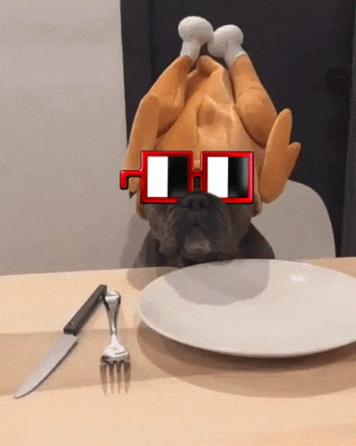 A Dog Wearing Sunglasses And A Turkey Costume Looks At A Plate With A Knife And Fork GIF