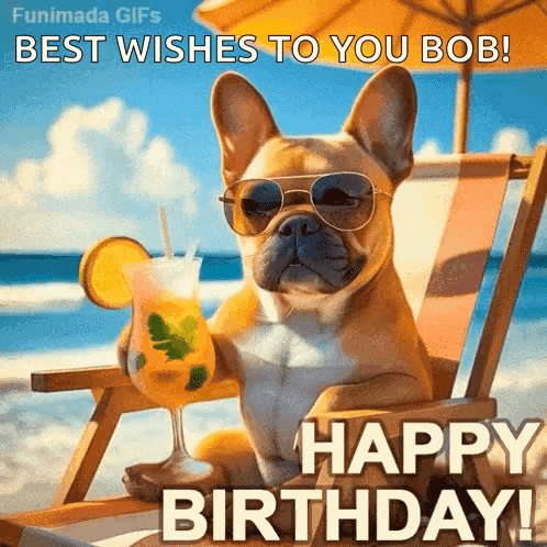A Dog Wearing Sunglasses And Holding A Drink On The Beach Says Happy Birthday GIF