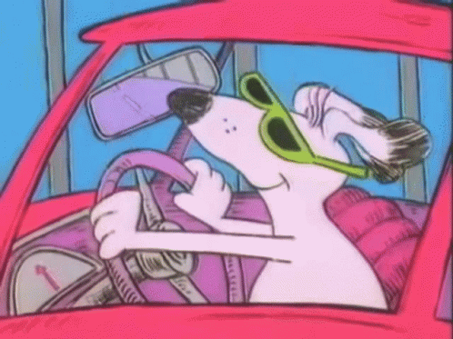 A Dog Wearing Sunglasses Is Driving A Pink Car GIF