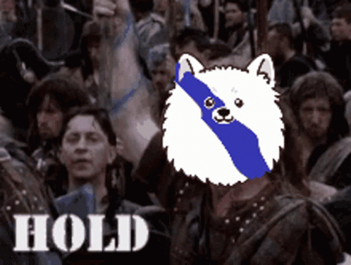 A Dog With A Blue And White Stripe On Its Face Is Surrounded By A Crowd And The Word Hold Is On The Bottom Right GIF