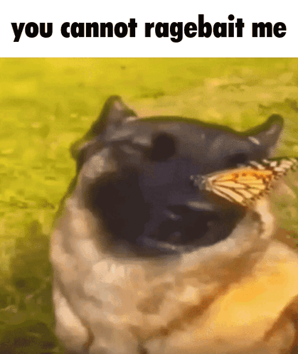 A Dog With A Butterfly In Its Mouth And The Words You Cannot Ragebait Me Above It GIF
