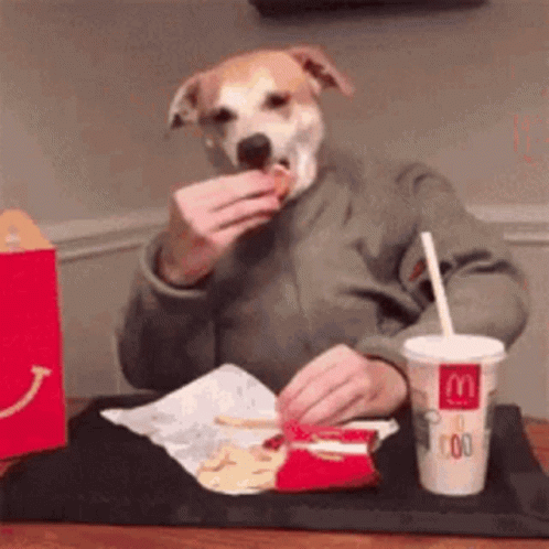 A Dog With A Human Face Is Eating A Hamburger At A Mcdonald 'S GIF
