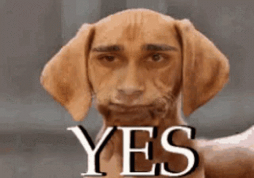A Dog With A Man 'S Face And The Word Yes GIF