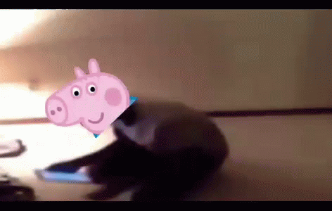 A Dog With A Picture Of Peppa Pig On It 'S Head . GIF