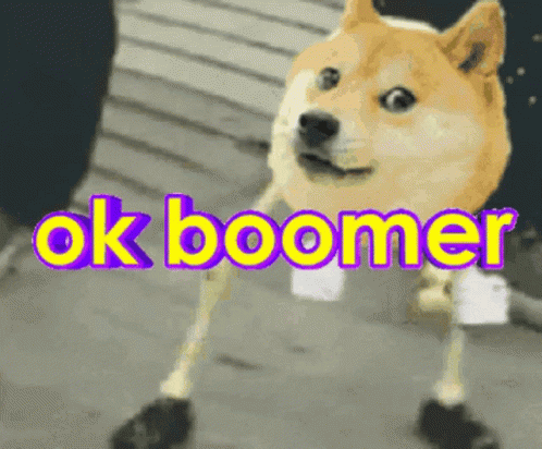 A Dog With A Prosthetic Leg Is Standing In Front Of The Words Ok Boomer GIF