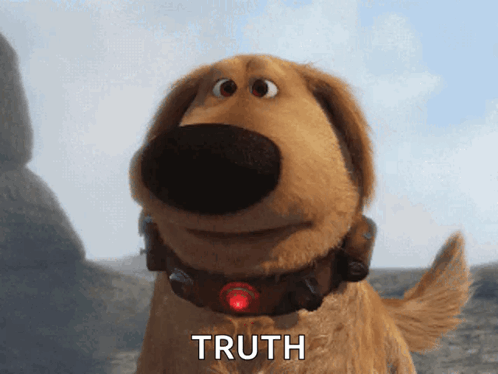 A Dog With A Red Collar Says Truth In Front Of Him GIF
