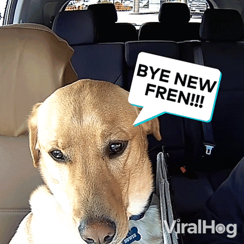 A Dog With A Speech Bubble That Says Bye New Fren On It GIF