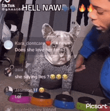 A Dog With A Sweater On Is Sitting Next To A Person With A Sticker That Says Hell Naw GIF