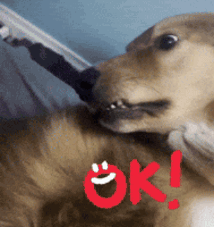 A Dog With A Toothbrush In Its Mouth And The Word Ok In Red GIF