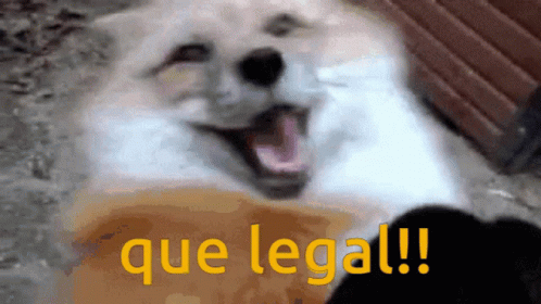 A Dog With Its Mouth Open And The Words Que Legal Written In Yellow GIF