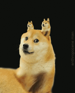 A Dog With Two Smaller Dogs On Its Head And The Words Anthropocene Man Below GIF