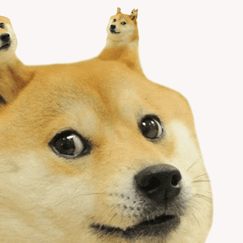 A Dog With Two Smaller Dogs On Its Head Looking At The Camera GIF