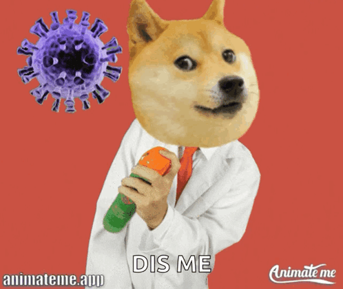 A Doge Holding A Spray Bottle In Front Of A Virus That Says Dis Me On The Bottom GIF