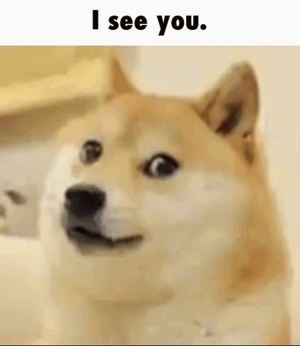 A Doge Is Looking At The Camera With The Words `` I See You '' Written Above It . GIF