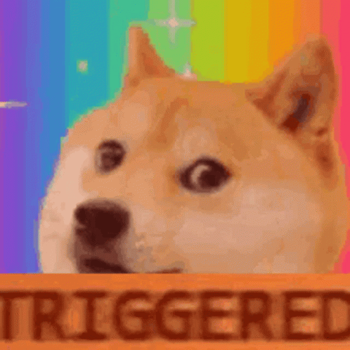 A Doge Is Looking Out Of A Box With The Word Triggered Written On It . GIF