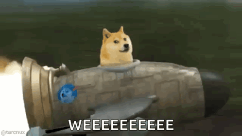 A Doge Is Riding On The Back Of A Rocket With The Words Weeeeeeeee Written Below It GIF