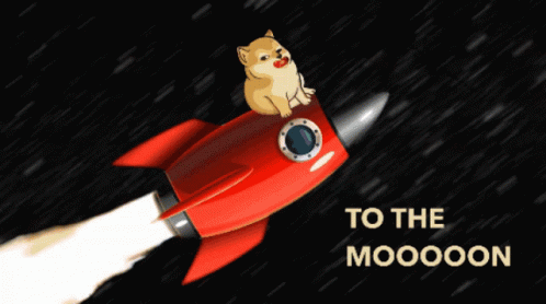 A Doge Is Sitting On Top Of A Red Rocket With The Words To The Moooon Below It GIF