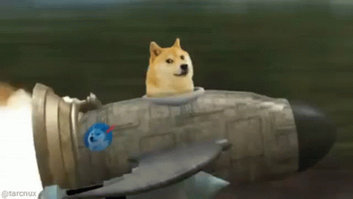 A Doge Is Sitting On Top Of A Rocket With The Earth In The Background . GIF