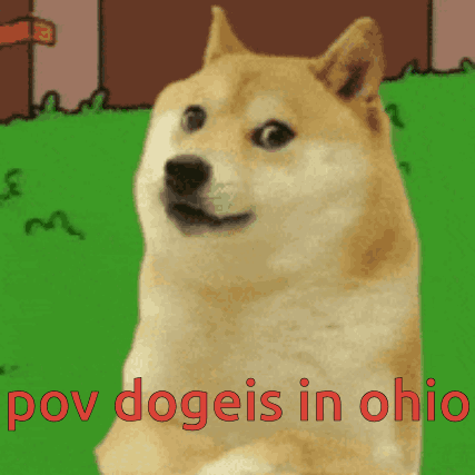 A Doge Says " Pov Dogeis In Ohio " In Red GIF