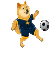 a doge wearing a blue shirt that says raja on it is kicking a soccer ball