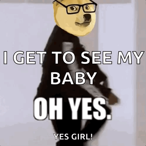 A Doge Wearing Glasses Is Standing Next To A Sign That Says `` I Get To See My Baby Oh Yes . '' GIF