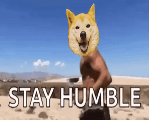 A Doge With A Man 'S Face On It Says Stay Humble . GIF