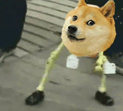 A Doge With Arms And Legs Is Standing On A Sidewalk . GIF