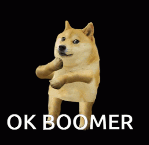 A Doge With The Words Ok Boomer Written On It GIF