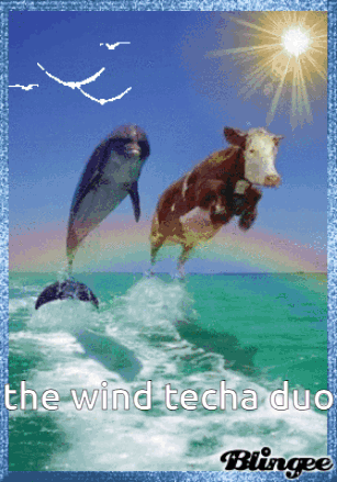 A Dolphin And A Cow Jumping Out Of The Water With The Words " The Wind Techa Duo " GIF