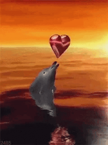 A Dolphin Is Holding A Heart Balloon In Its Mouth . GIF