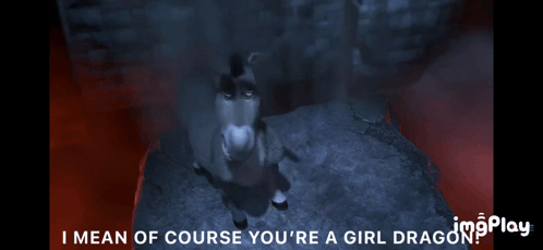 A Donkey In A Cave With The Words I Mean Of Course You 'Re A Girl Dragon Below It GIF