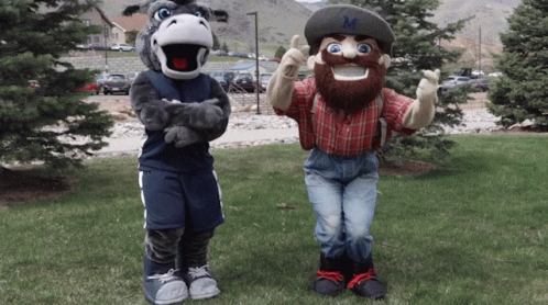 A Donkey Mascot And A Cowboy Mascot Are Standing Next To Each Other In The Grass GIF