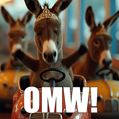 a donkey wearing a tiara is driving a toy car with the word omw written on the bottom