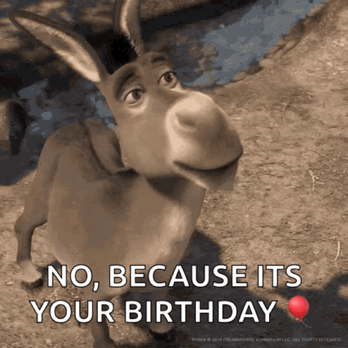 A Donkey With The Words No Because Its Your Birthday On The Bottom GIF