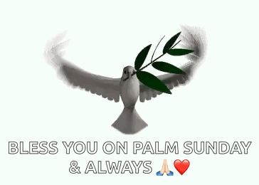 A Dove Is Flying With A Branch In Its Beak And The Words `` Bless You On Palm Sunday And Always '' . GIF