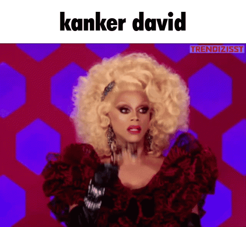 A Drag Queen Is Wearing A Red Dress With Roses And The Words Kanker David Above Her . GIF