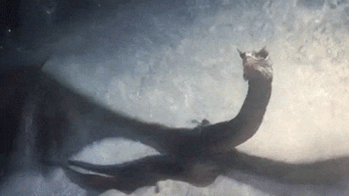 A Dragon Is Flying Through The Air With Its Wings Outstretched In The Snow . GIF