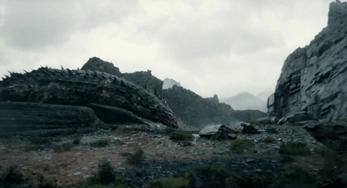 a dragon is laying on the ground in the middle of a mountain
