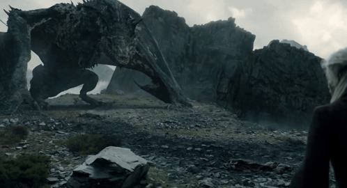 a dragon is standing in the middle of a rocky field