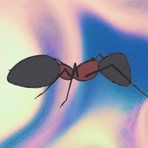 A Drawing Of A Black And Red Ant On A Blue Background GIF