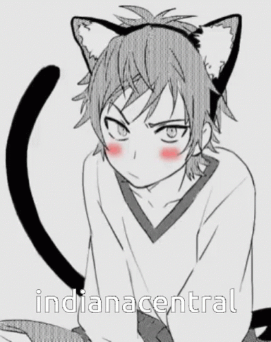 A Drawing Of A Boy With Cat Ears And The Words Indiana Central GIF