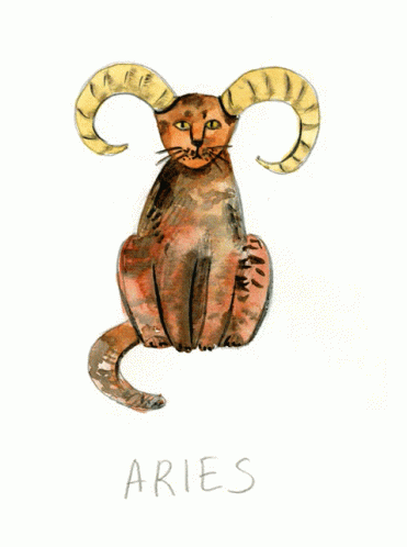 A Drawing Of A Cat Holding A Blue Jar With The Word Aquarius Written Below It GIF