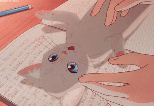 A Drawing Of A Cat Laying On Top Of A Notebook With The Words " Classwork " On It GIF