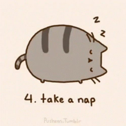 A Drawing Of A Cat Sleeping With The Words Take A Nap Below It GIF