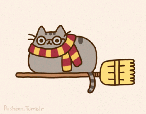 A Drawing Of A Cat Wearing Glasses And A Scarf Laying On A Broom GIF